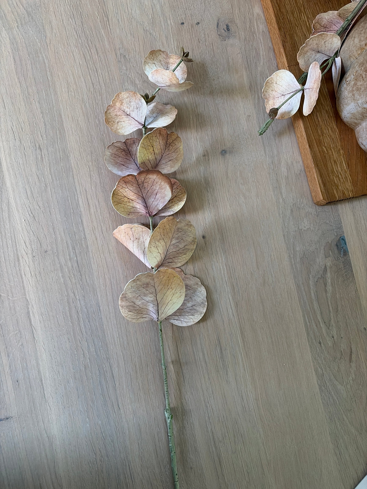 Himmeän roosan sävyinen silkkieukalyptuksen oksa tuo pehmeää ilmettä maljakkoon tai kukka-asetelmaan. Oksan pituus 77 cm.